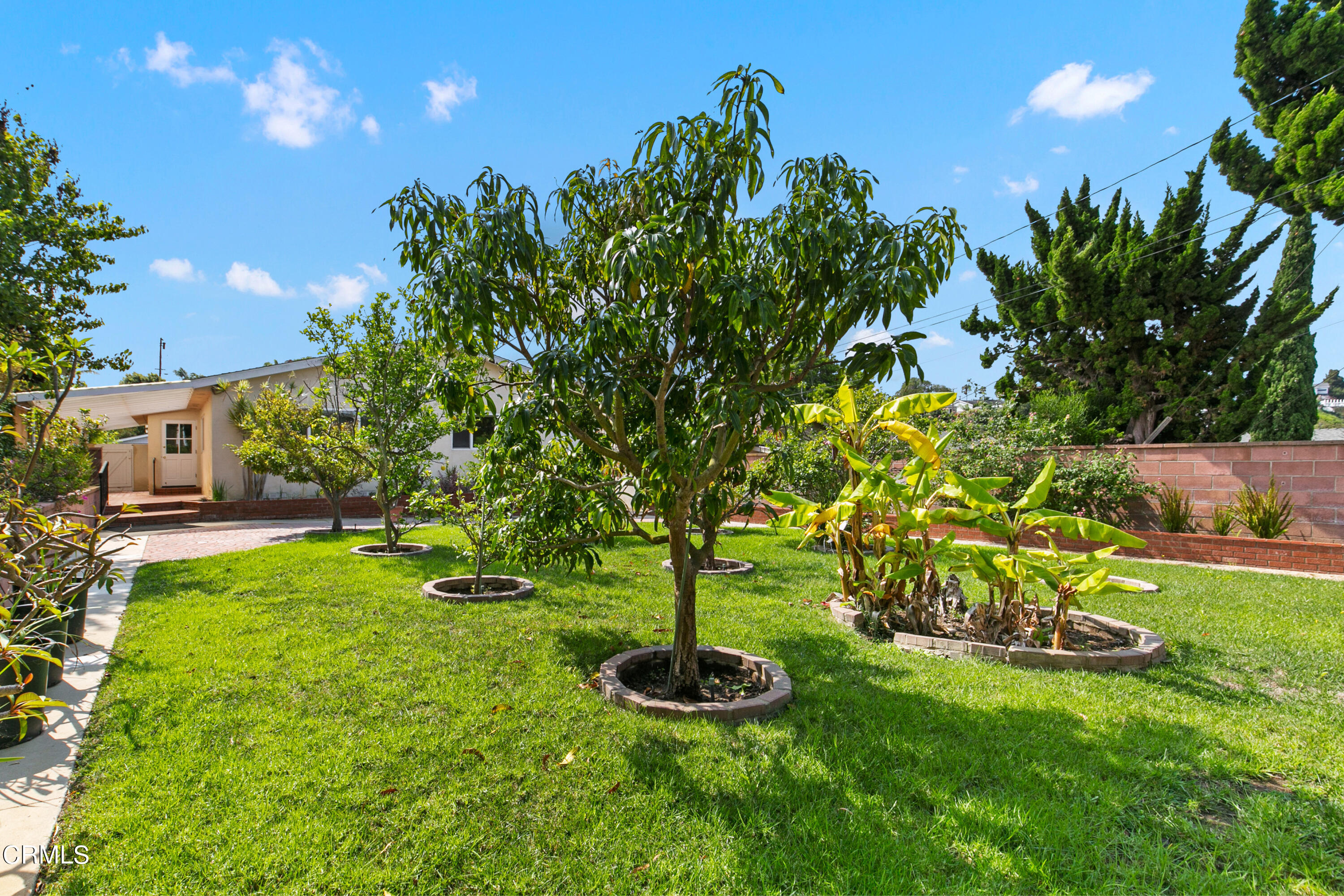 4721 Reese Road Torrance, CA 90505 - Photo 30 of 32 a garden view