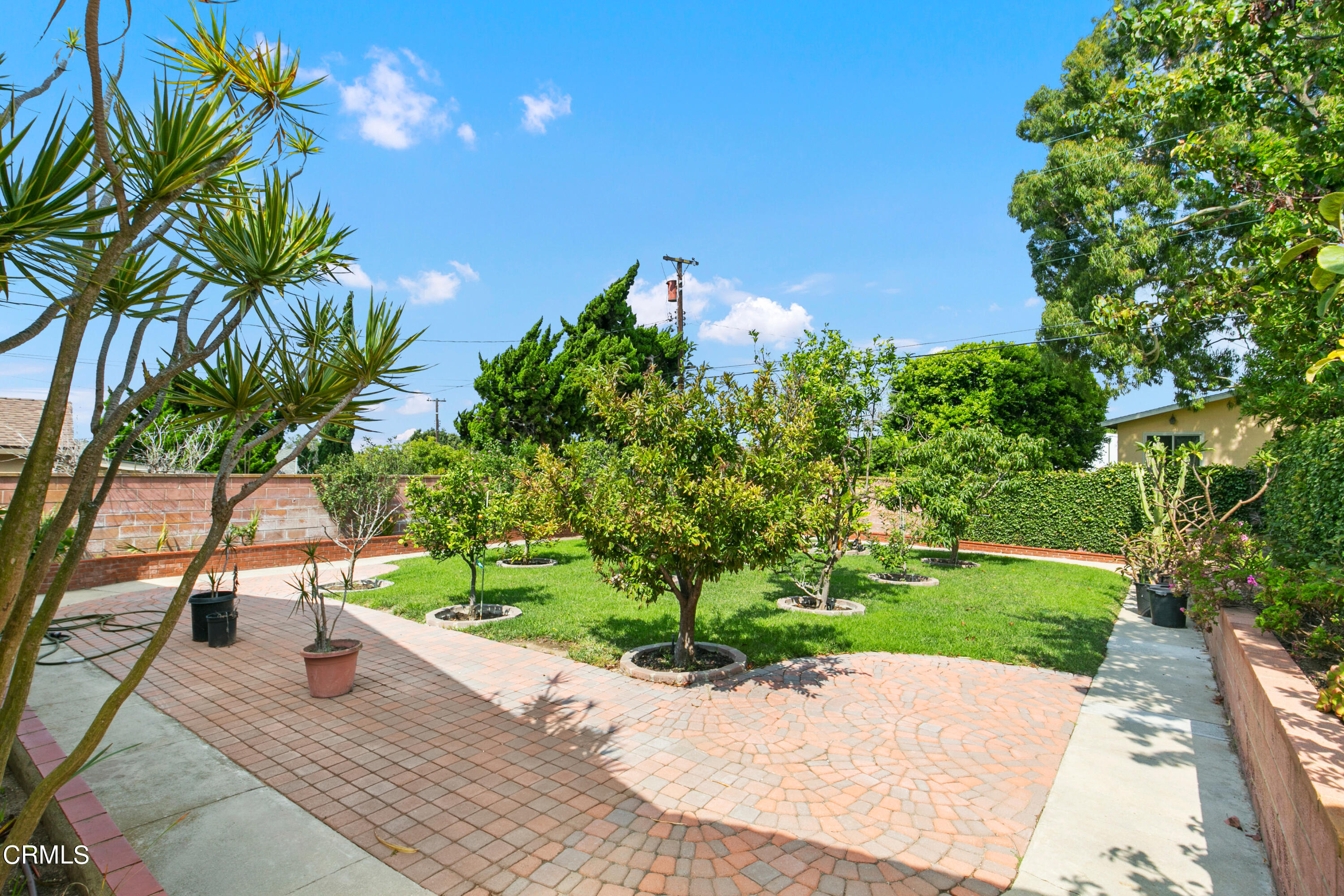 4721 Reese Road Torrance, CA 90505 - Photo 32 of 32 a view of a garden with plants and large trees