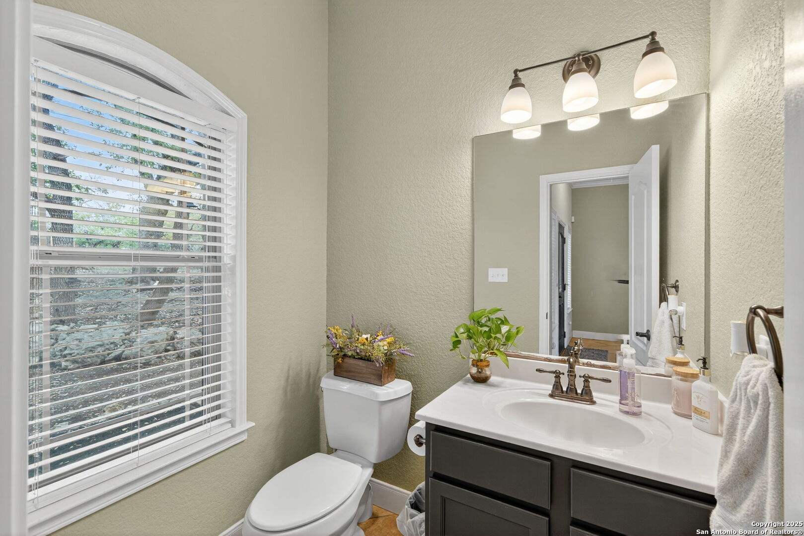 1126 Winding Creek Trail Spring Branch, TX 78070 - Photo 9 of 27