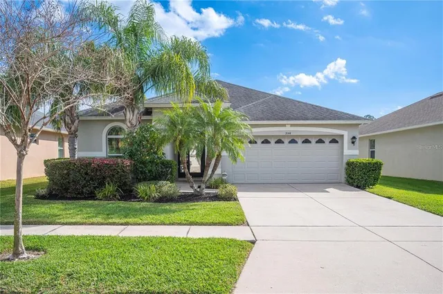 a view of a yard with plants and palm trees