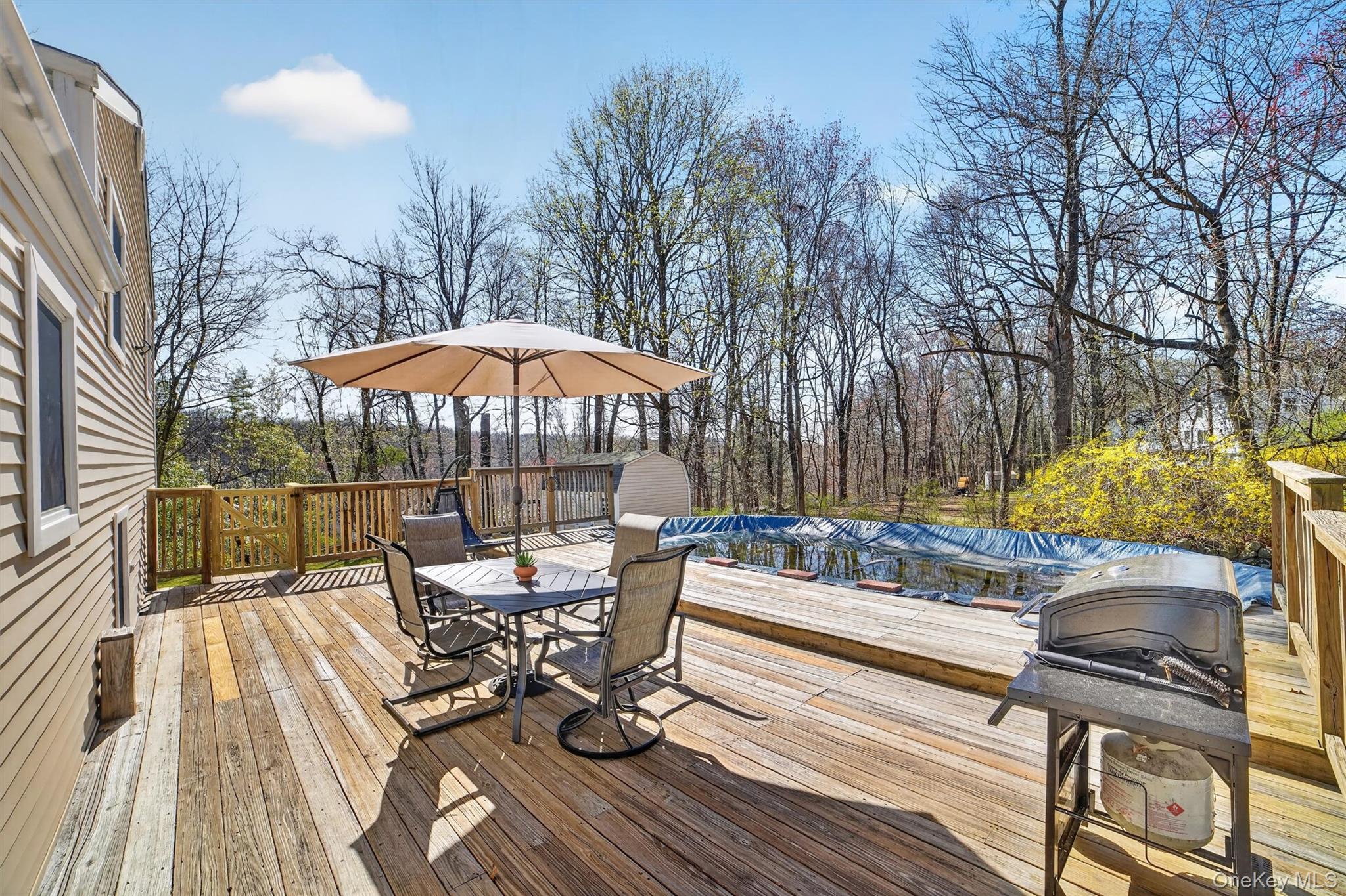 9 Ridge Road Cortlandt Manor, NY 10567 - Photo 40 of 47 Let the grilling begin!