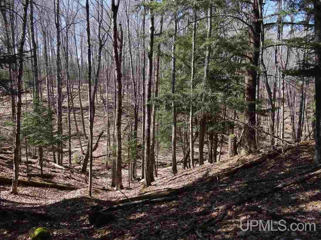 Tbd Wadaga Road Baraga, MI 49908 - Photo 7 of 17 Gallery Image 7