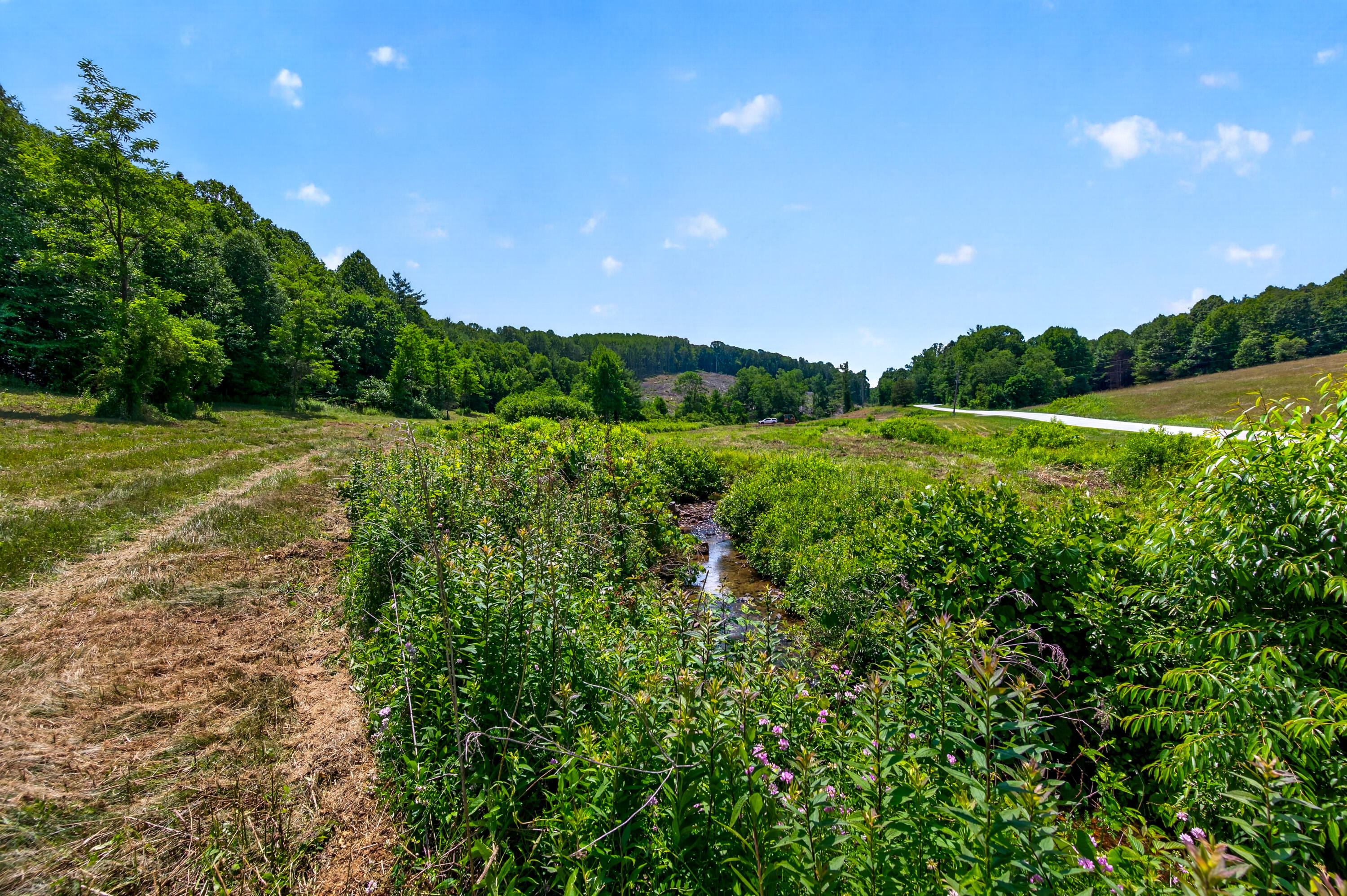 6196 Chances Creek Road Fancy Gap, VA 24328 - Photo 28 of 78 29
