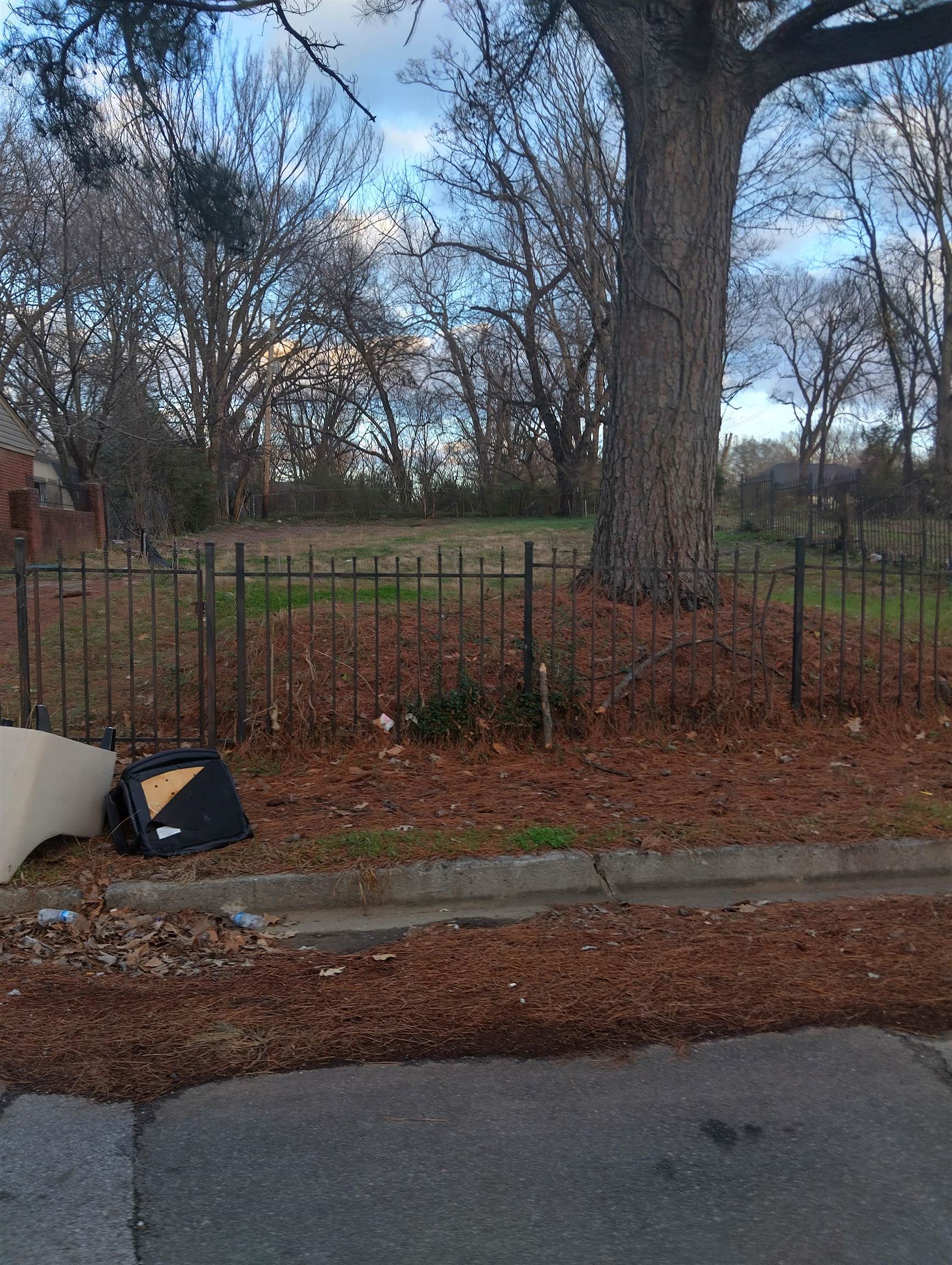 1200 Cannon Street Memphis, TN 38106 - Photo 1 of 3 a view of a park with large trees