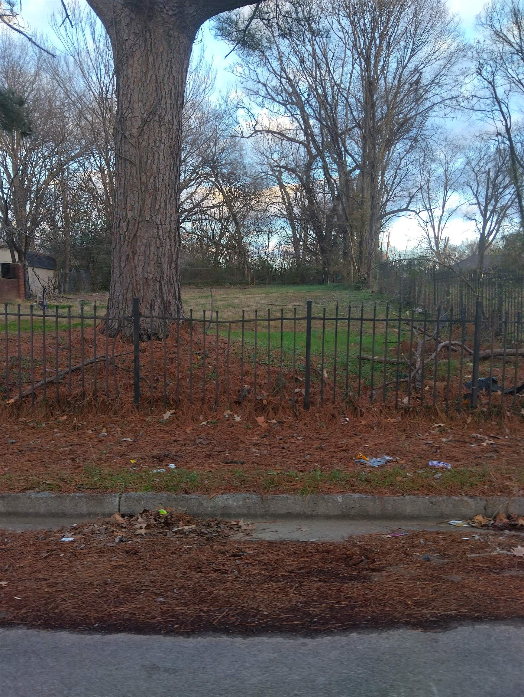 1200 Cannon Street Memphis, TN 38106 - Photo 2 of 3 a view of a yard with a lake view