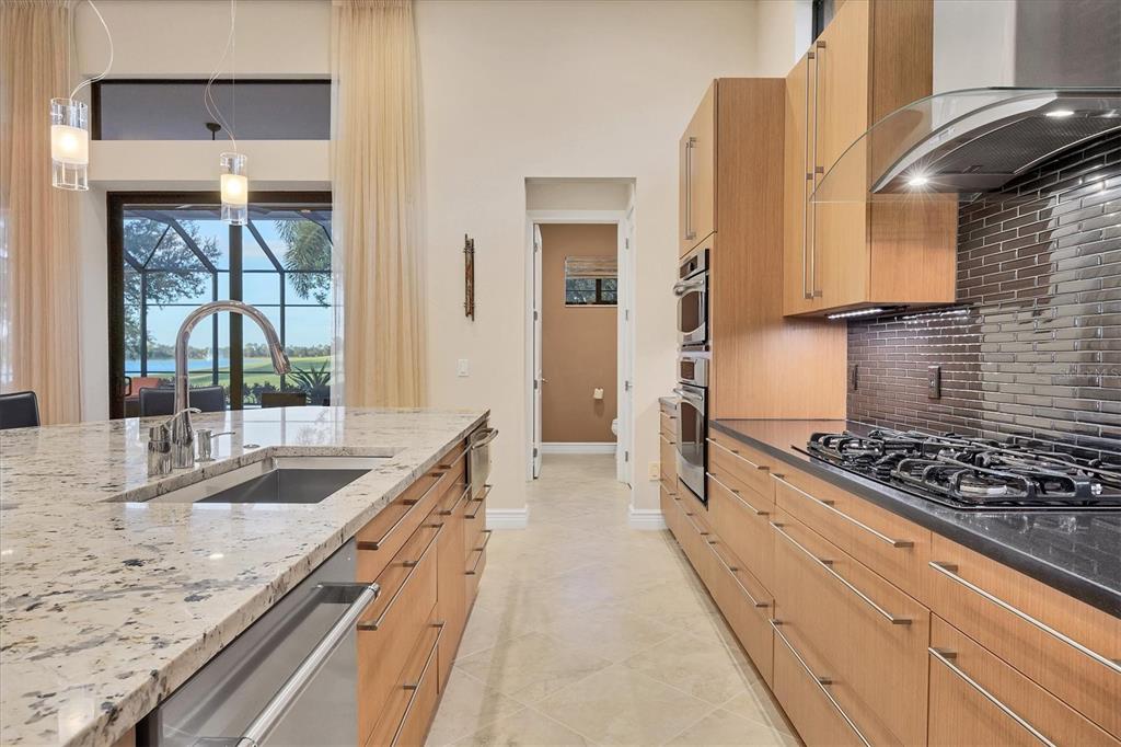 14519 Leopard Creek Place Lakewood Ranch, FL 34202 - Photo 17 of 56 a kitchen with granite countertop a sink and a stove