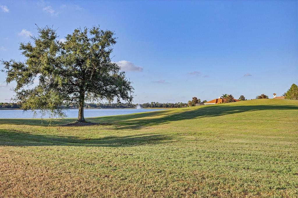 14519 Leopard Creek Place Lakewood Ranch, FL 34202 - Photo 41 of 56