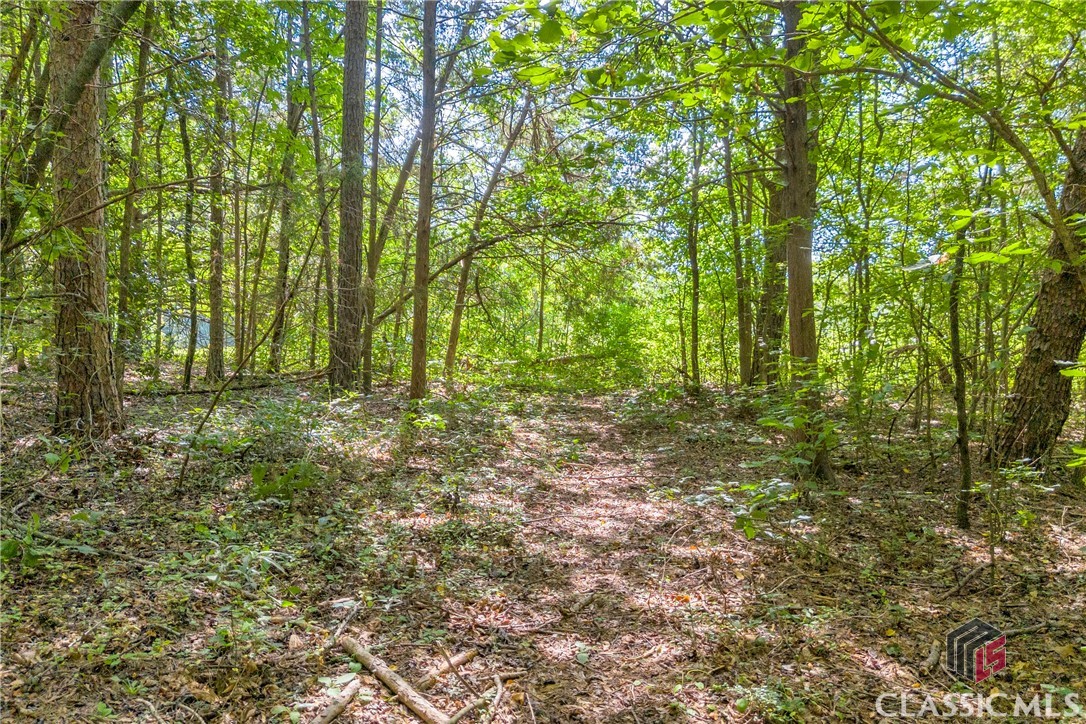 388 East Coker Road Homer, GA 30547 - Photo 40 of 52