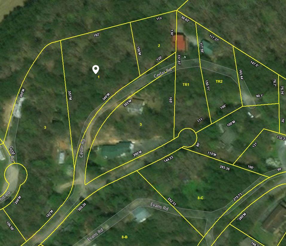 1 Cedar Road Pigeon Forge, TN 37863 - Photo 3 of 4 Capture 2