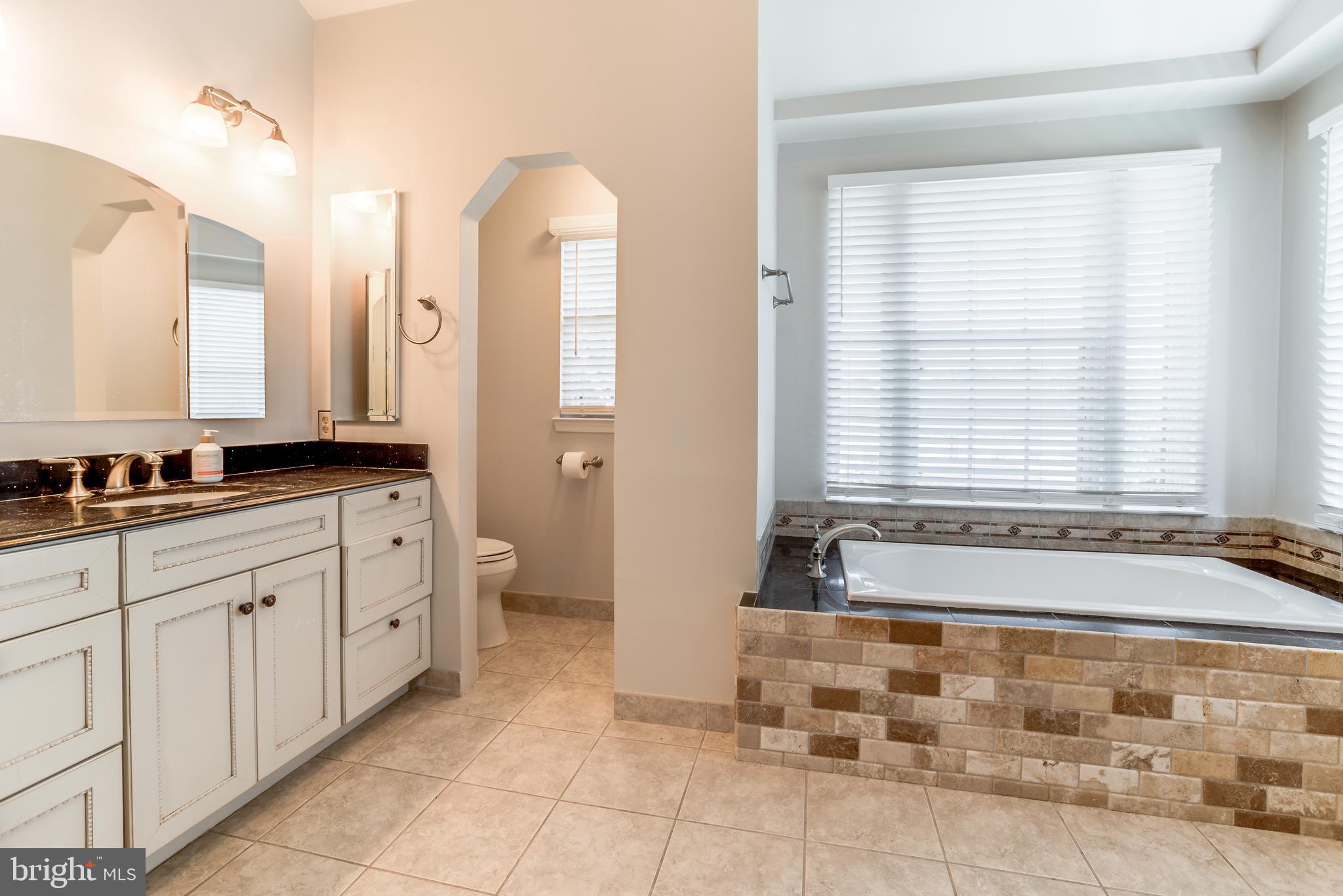 47764 Rafter Court Sterling, VA 20165 - Photo 23 of 44 Luxury Soaking Tub