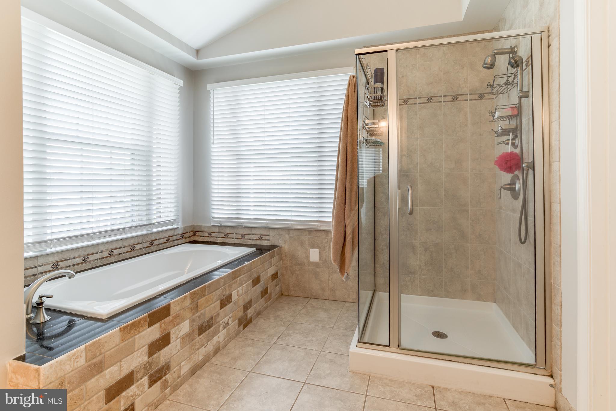 47764 Rafter Court Sterling, VA 20165 - Photo 24 of 44 Separate Shower too!