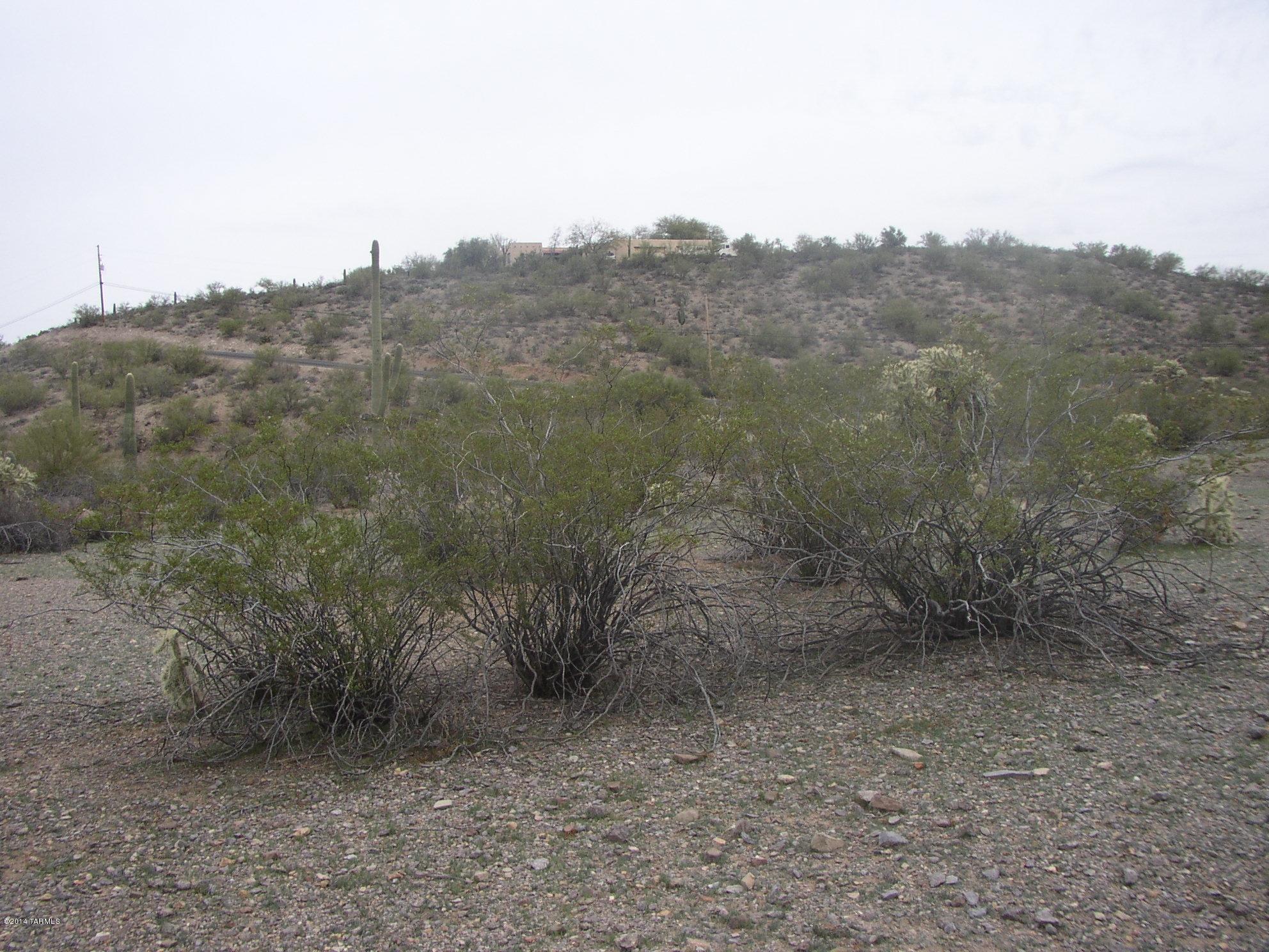 6005 Rough Rider Place, Unit 102 Tucson, AZ 85743 - Photo 3 of 5 Gallery Image 3