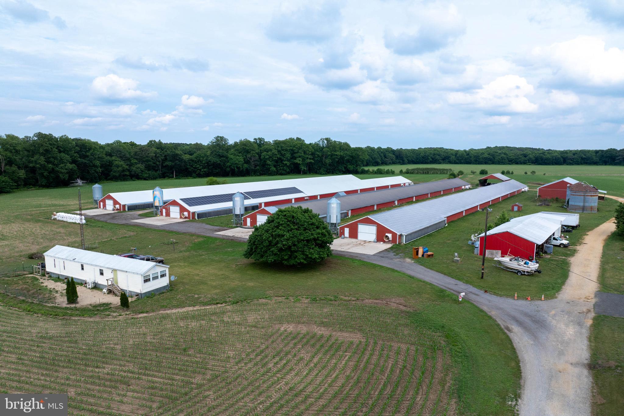 7347 Harmony Road Preston, MD 21655 - Photo 2 of 63 Aerial View of Farm & House