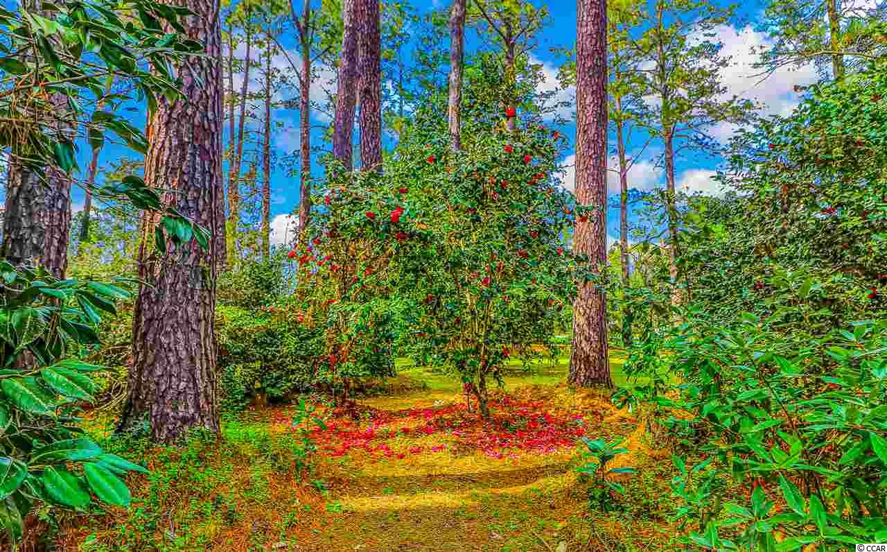 190 State Rd S-26-570 Loris, SC 29569 - Photo 29 of 33 Gallery Image 29