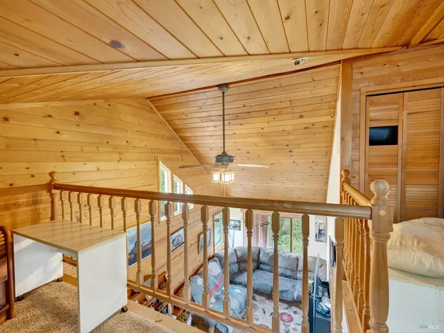 a white house with a small yard plants and a large tree