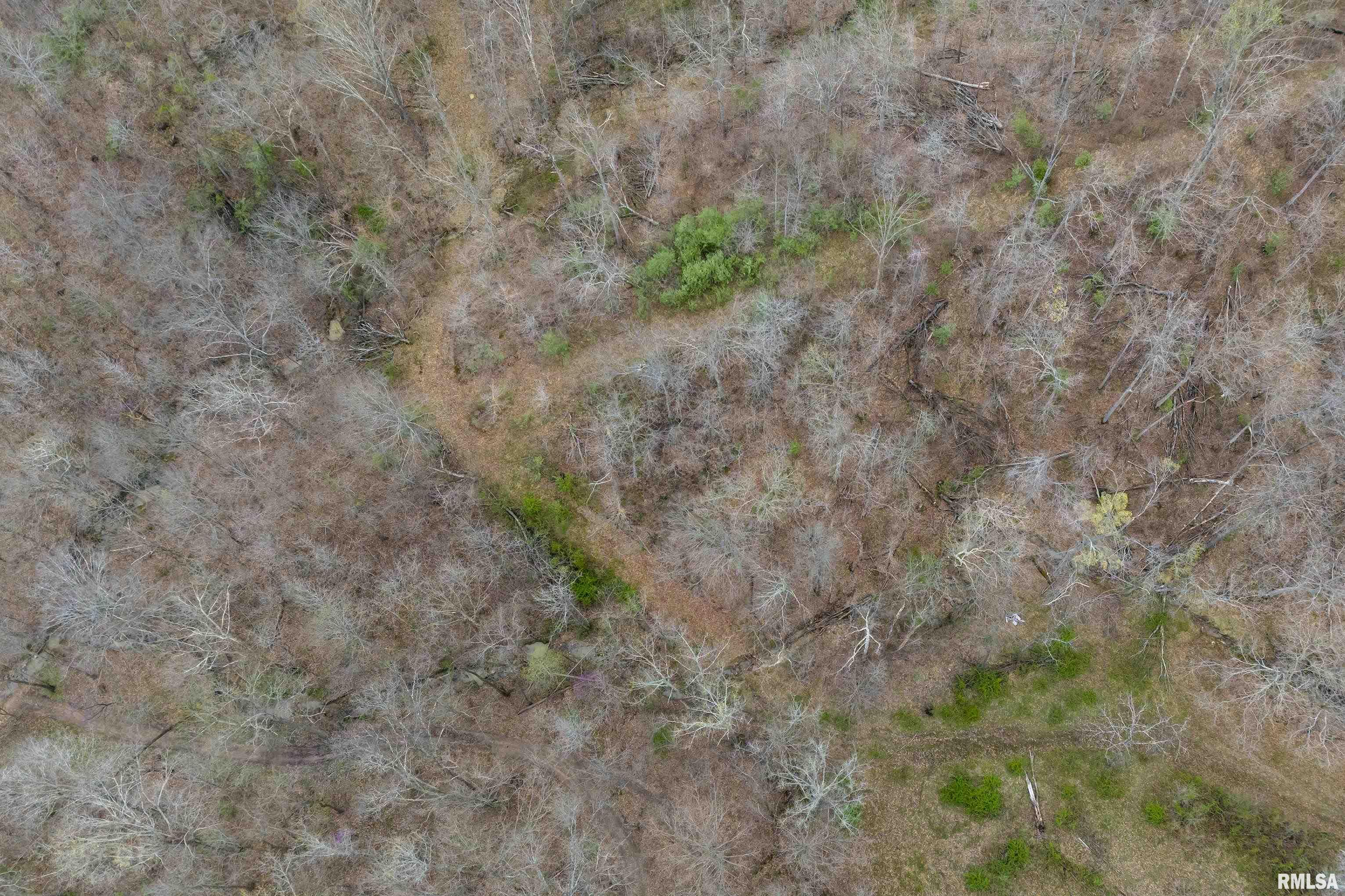 115 Wiley Road Murphysboro, IL 62966 - Photo 30 of 46