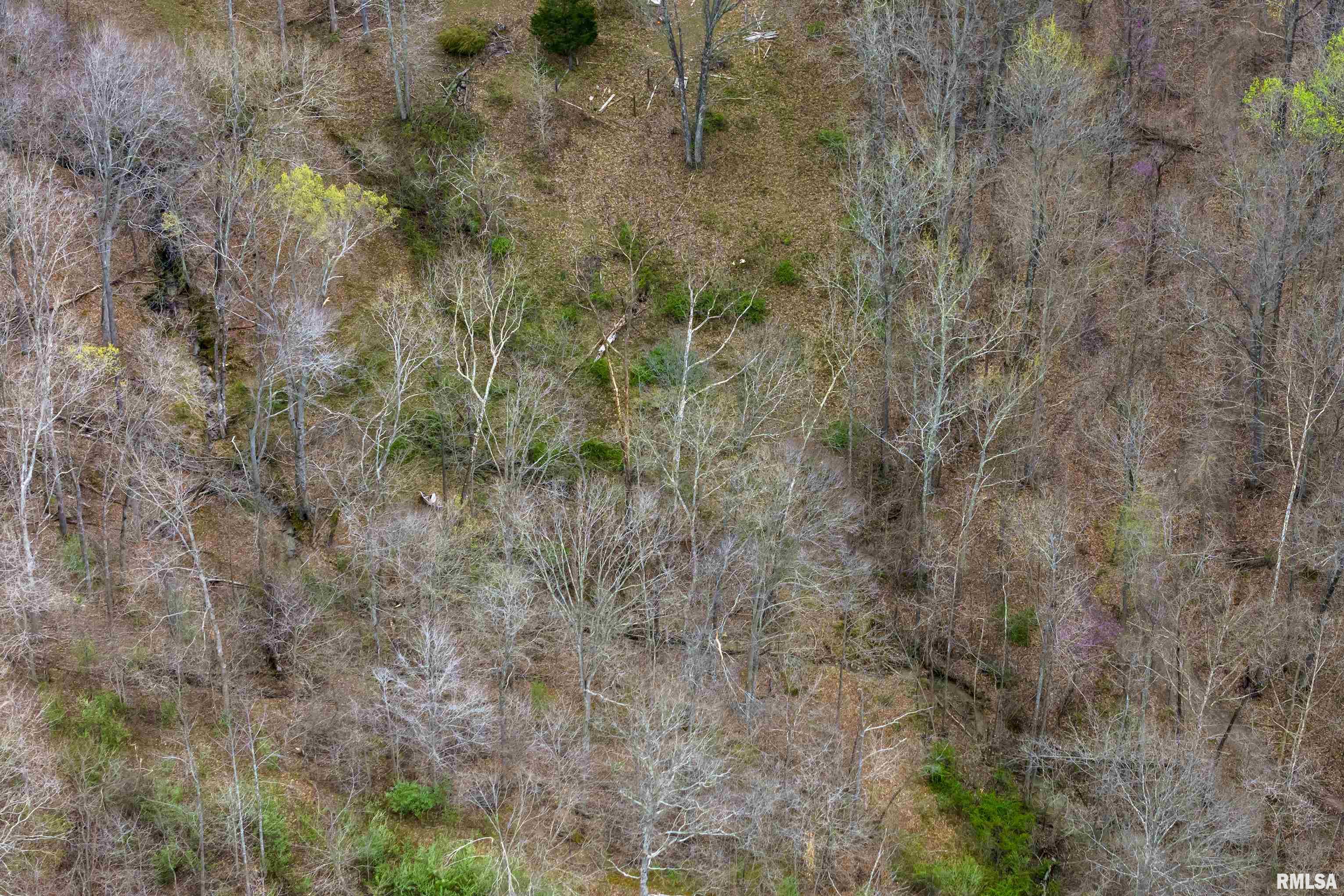 115 Wiley Road Murphysboro, IL 62966 - Photo 32 of 46