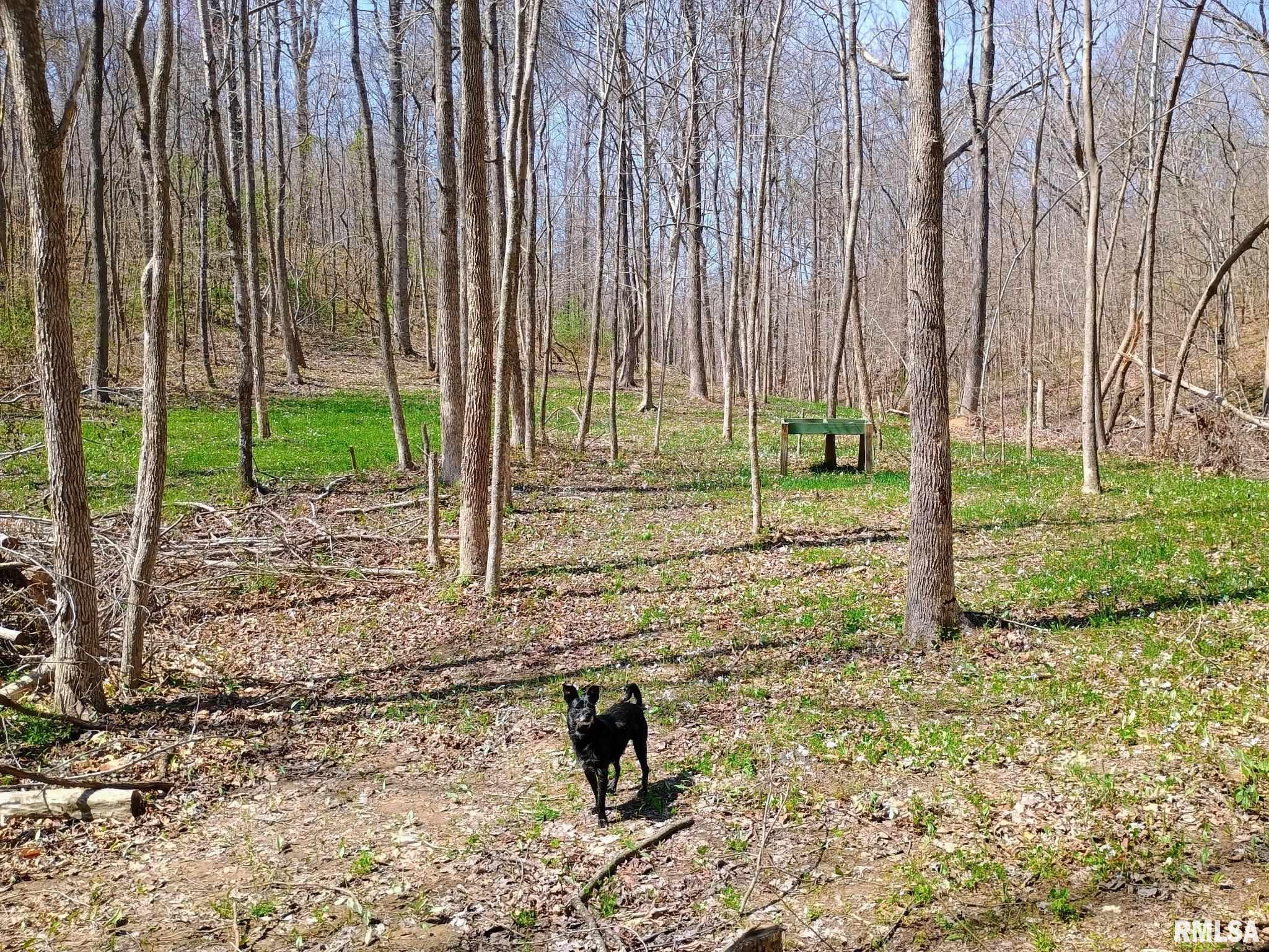 115 Wiley Road Murphysboro, IL 62966 - Photo 35 of 46