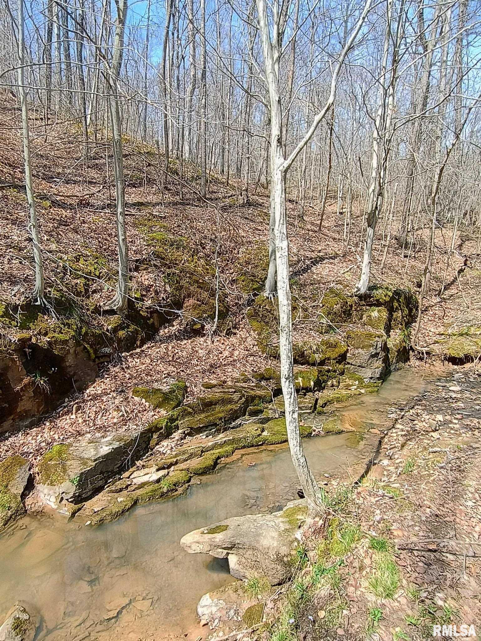 115 Wiley Road Murphysboro, IL 62966 - Photo 36 of 46