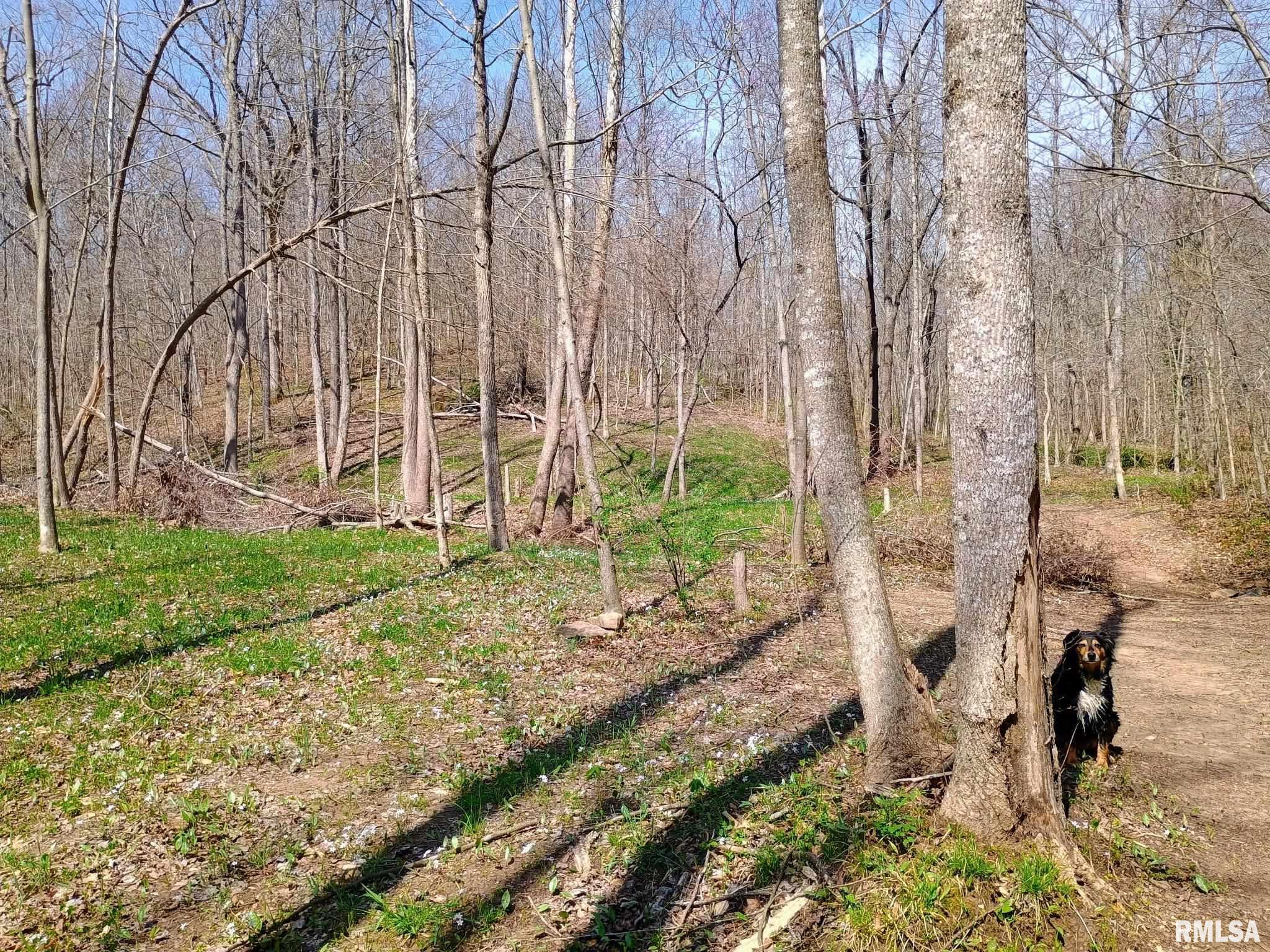 115 Wiley Road Murphysboro, IL 62966 - Photo 37 of 46