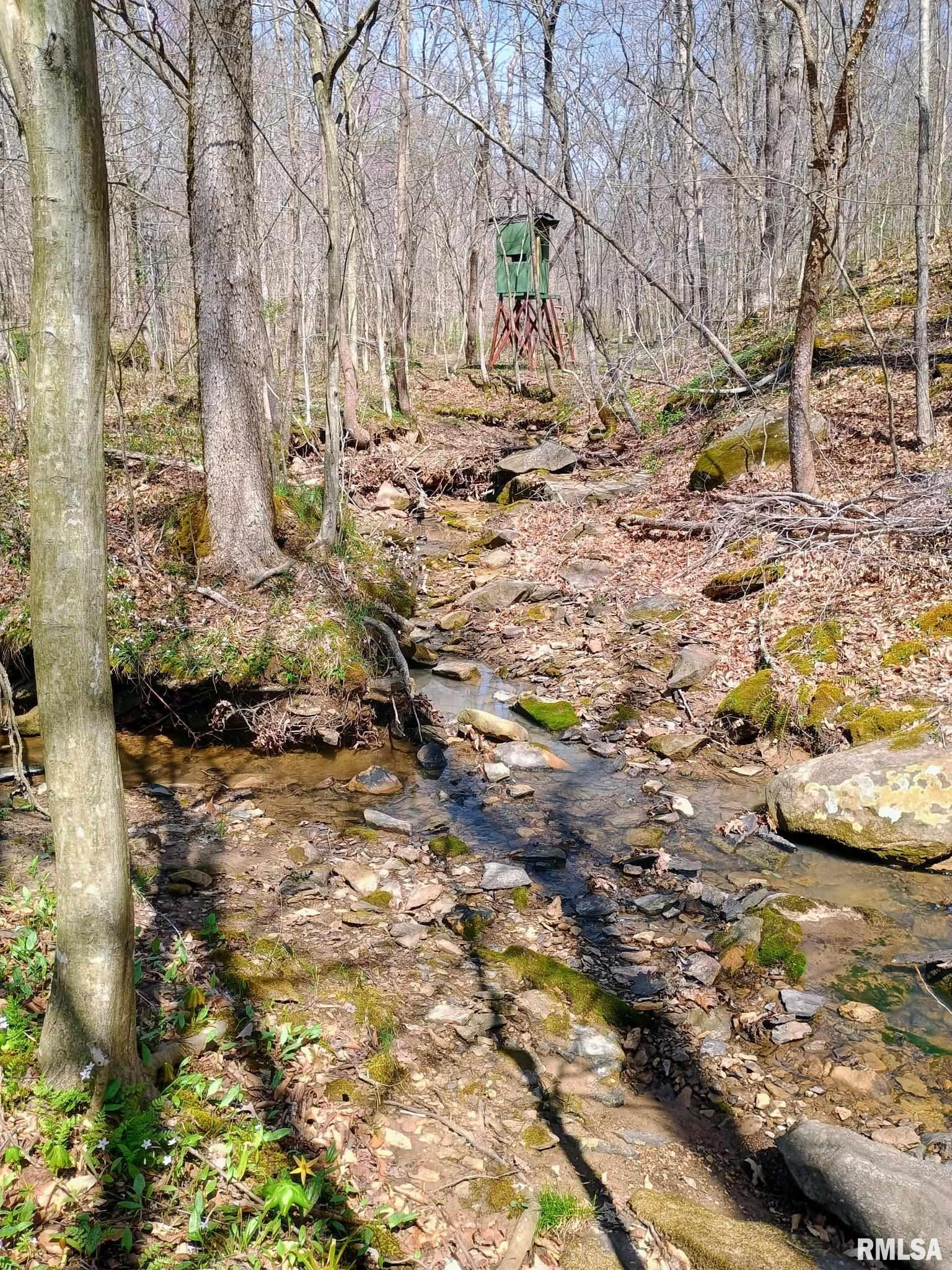 115 Wiley Road Murphysboro, IL 62966 - Photo 38 of 46