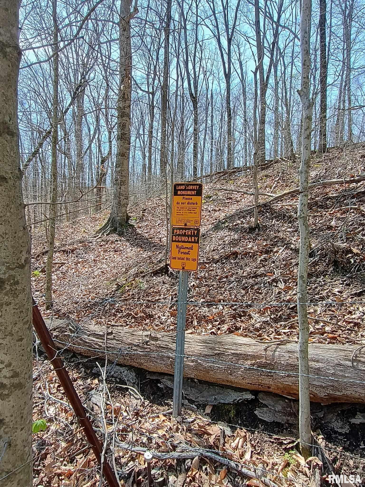 115 Wiley Road Murphysboro, IL 62966 - Photo 39 of 46