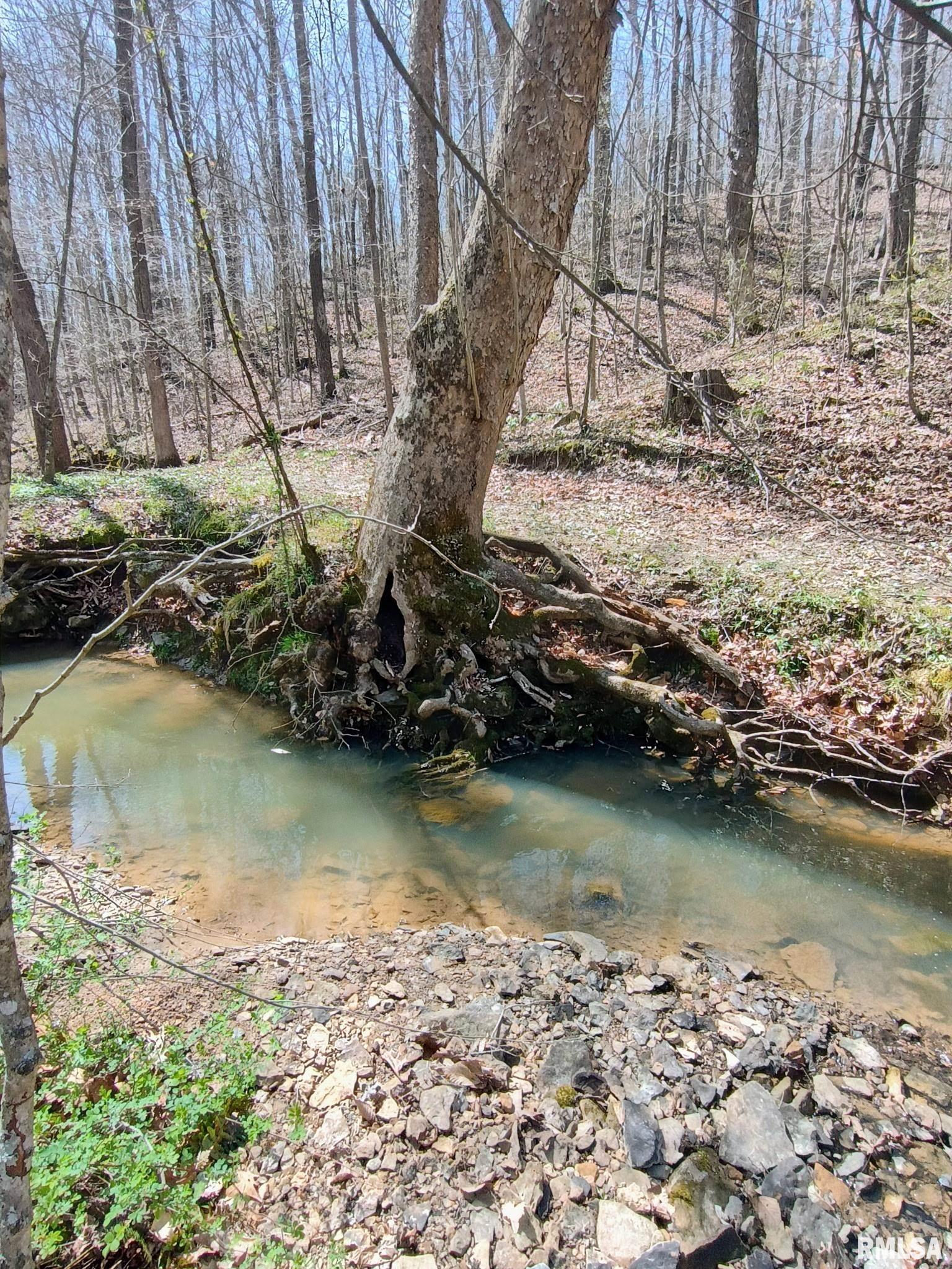 115 Wiley Road Murphysboro, IL 62966 - Photo 40 of 46