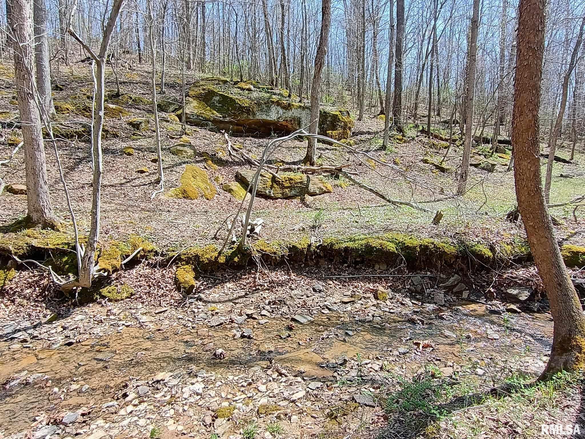 115 Wiley Road Murphysboro, IL 62966 - Photo 41 of 46