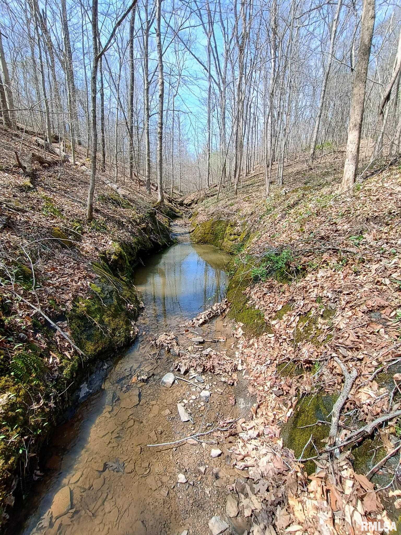 115 Wiley Road Murphysboro, IL 62966 - Photo 43 of 46