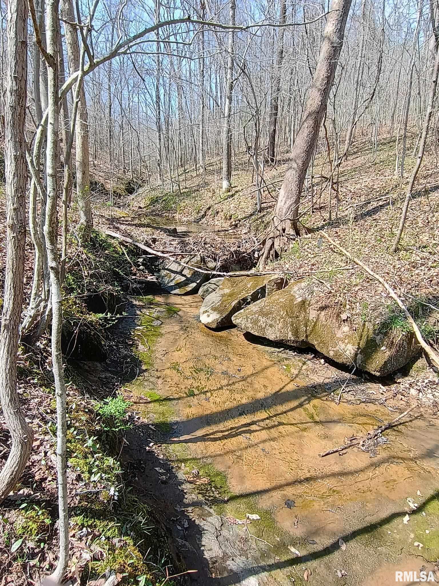 115 Wiley Road Murphysboro, IL 62966 - Photo 44 of 46