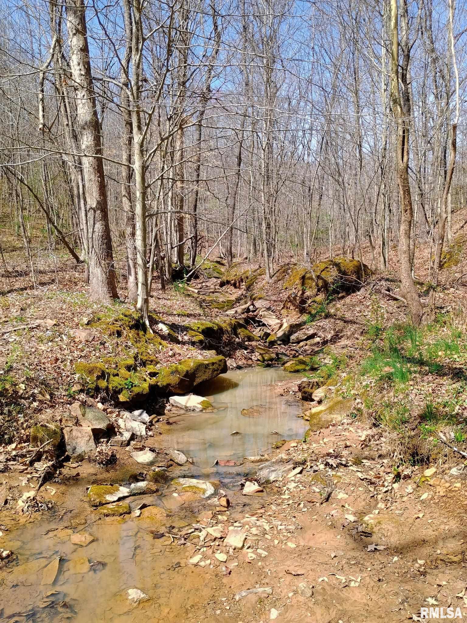 115 Wiley Road Murphysboro, IL 62966 - Photo 45 of 46