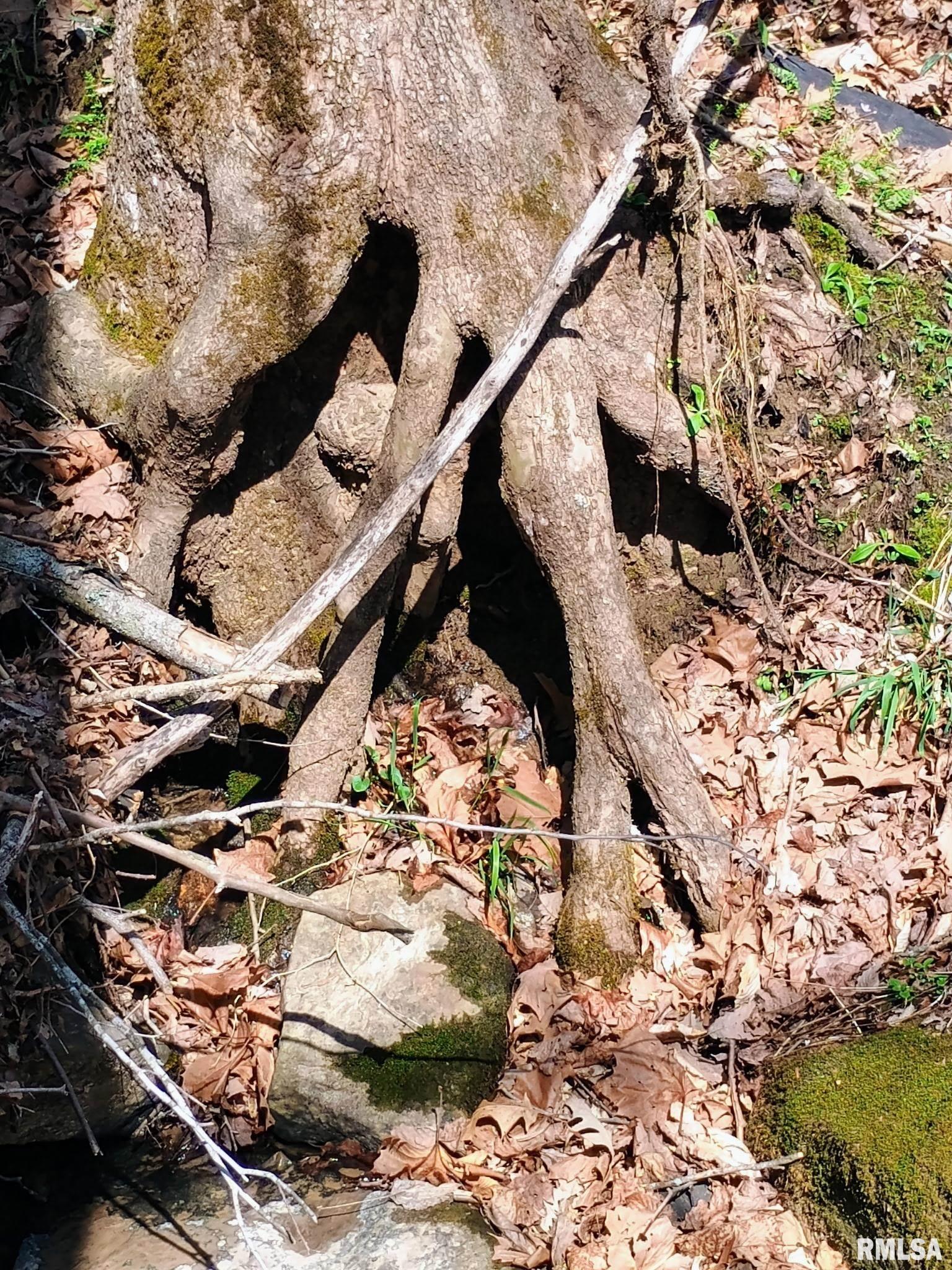 115 Wiley Road Murphysboro, IL 62966 - Photo 46 of 46