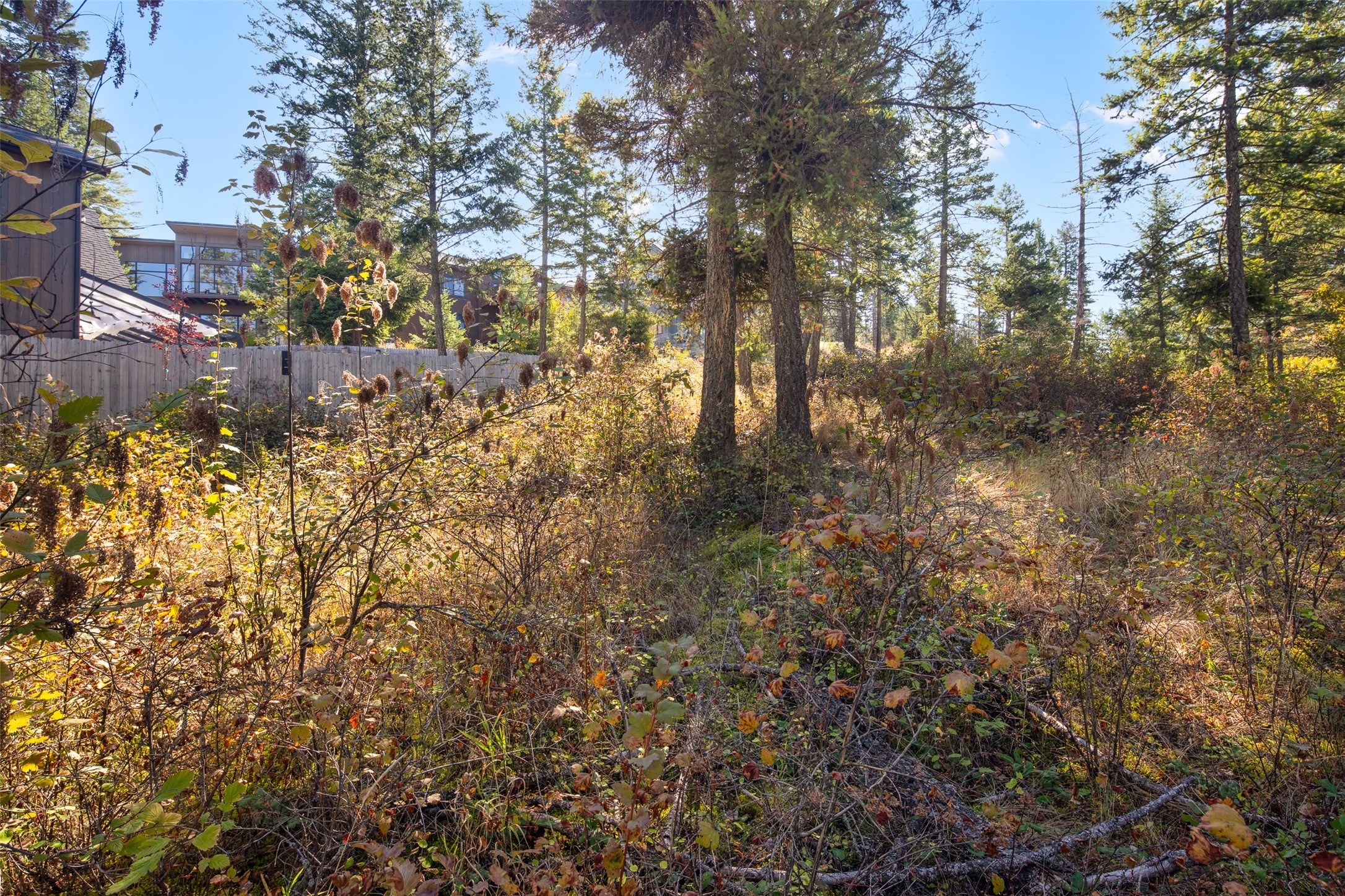 142 Whisper Rdg Drive Bigfork, MT 59911 - Photo 8 of 17 Gallery Image 8