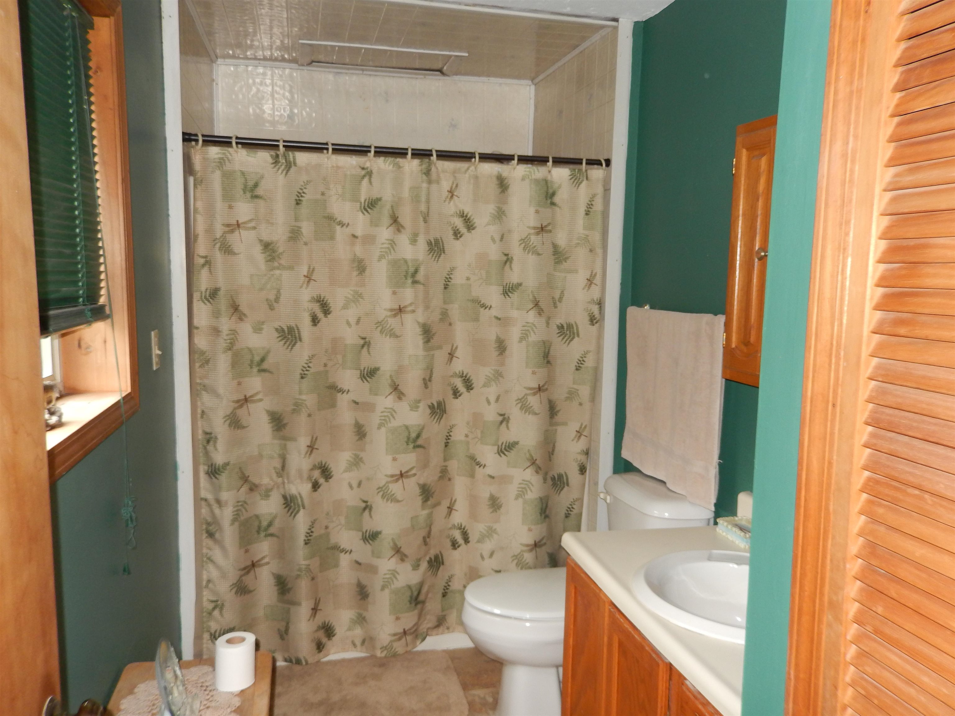 2450 Putnam Road Whittemore, MI 48770 - Photo 34 of 48 1899579-33.JPG