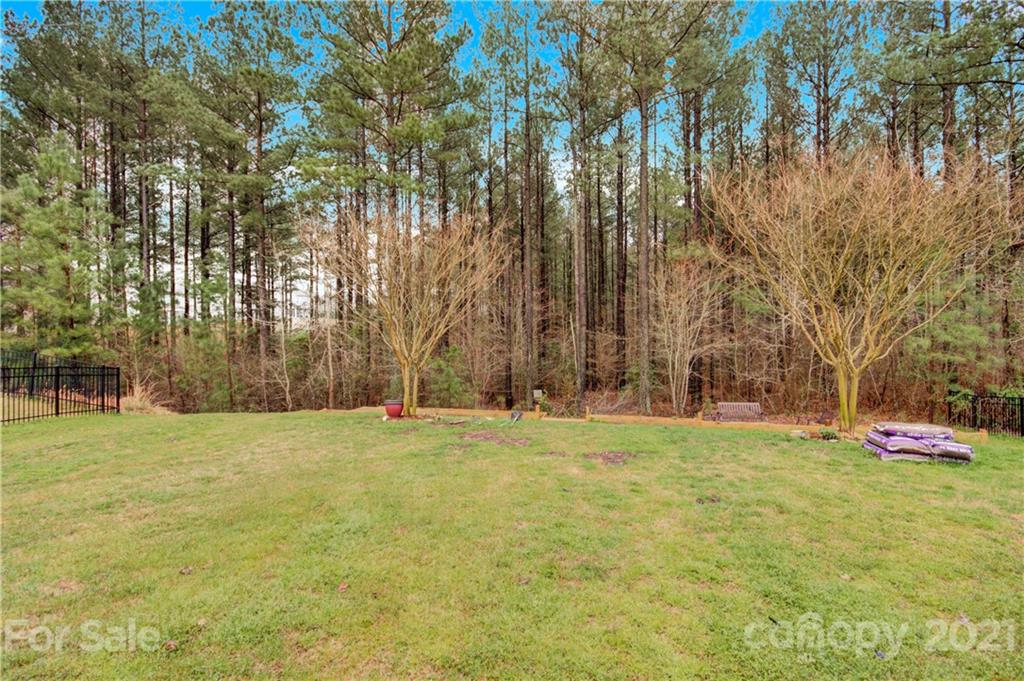 78174 Rillstone Drive Lancaster, SC 29720 - Photo 33 of 33 a backyard of apartments with large trees