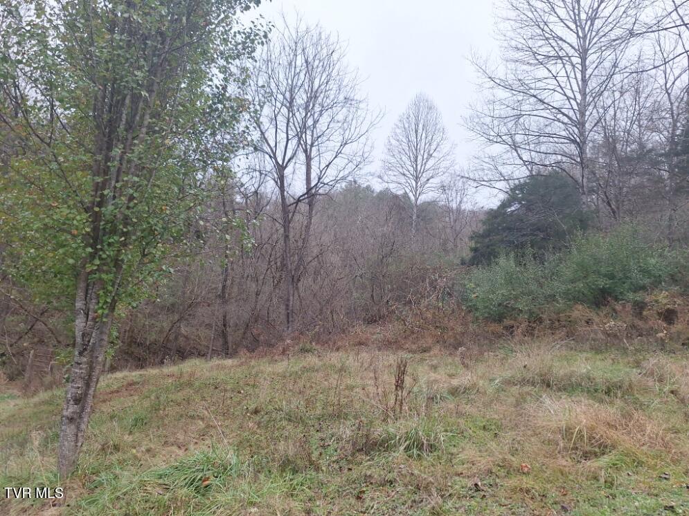 4446 Limestone Valley Road Duffield, VA 24244 - Photo 10 of 19 20241125_153926