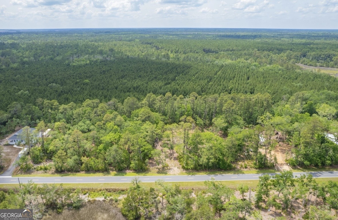 0 Piney Bluff Road Waverly, GA 31565 - Photo 18 of 26