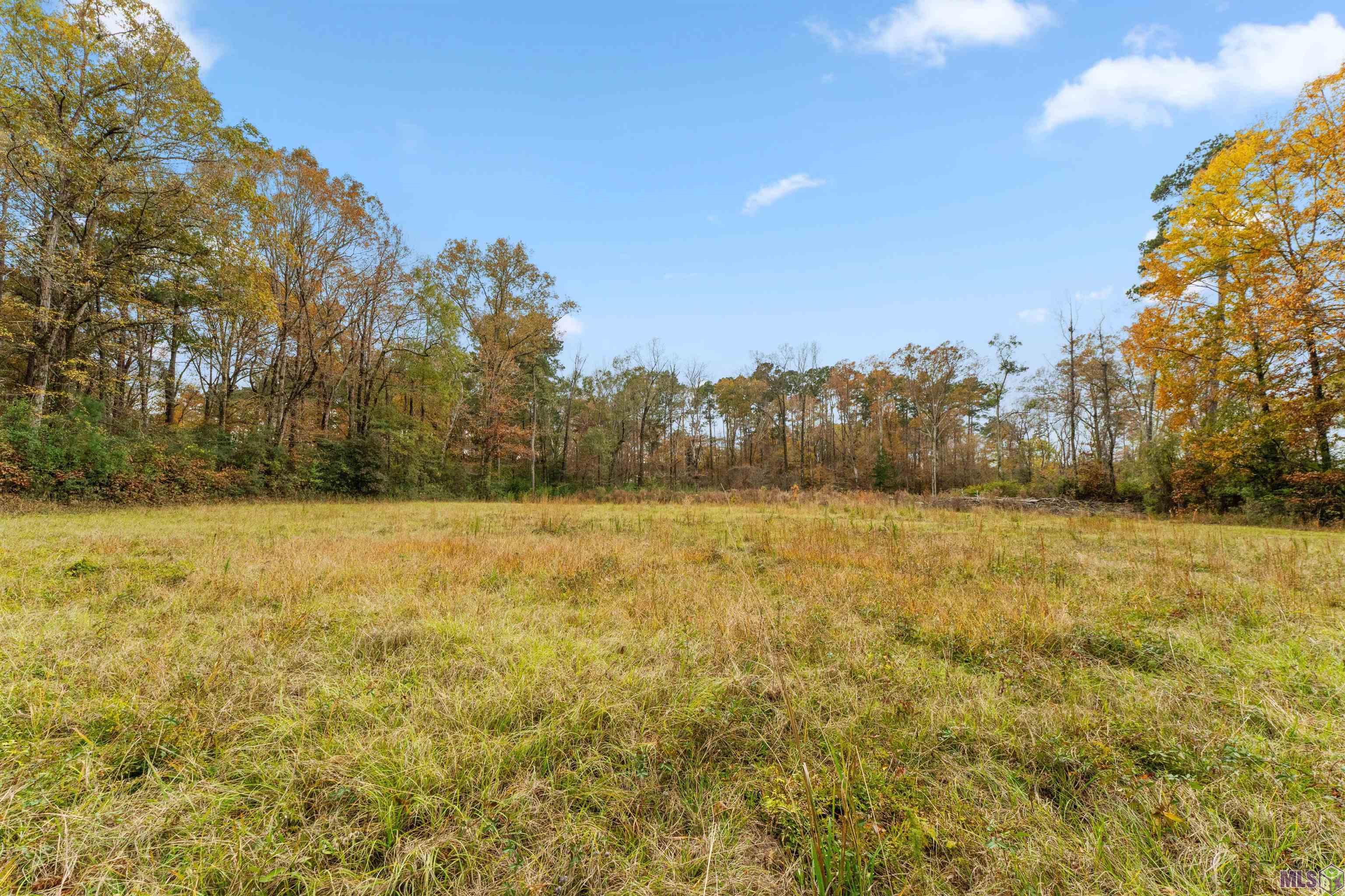 5498 Old Liberty Road North Clinton, LA 70722 - Photo 12 of 21