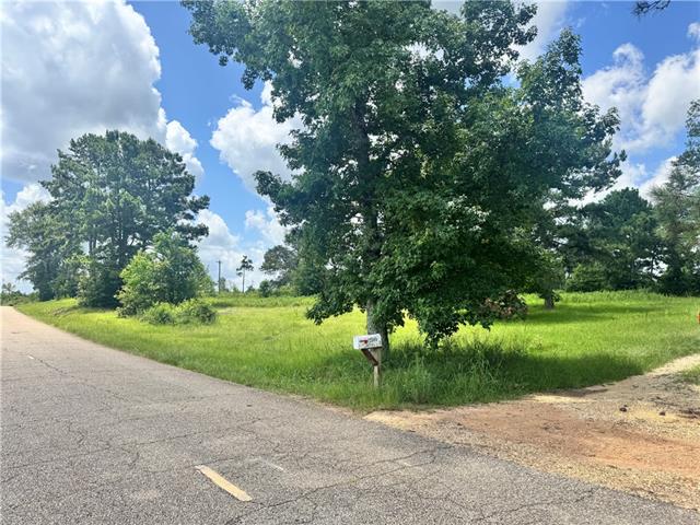 72045 South Lewiston Road Kentwood, LA 70444 - Photo 1 of 17
