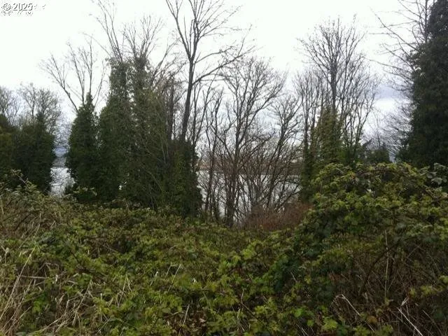 $20,000 | East C Street, Rainier, OR 97048