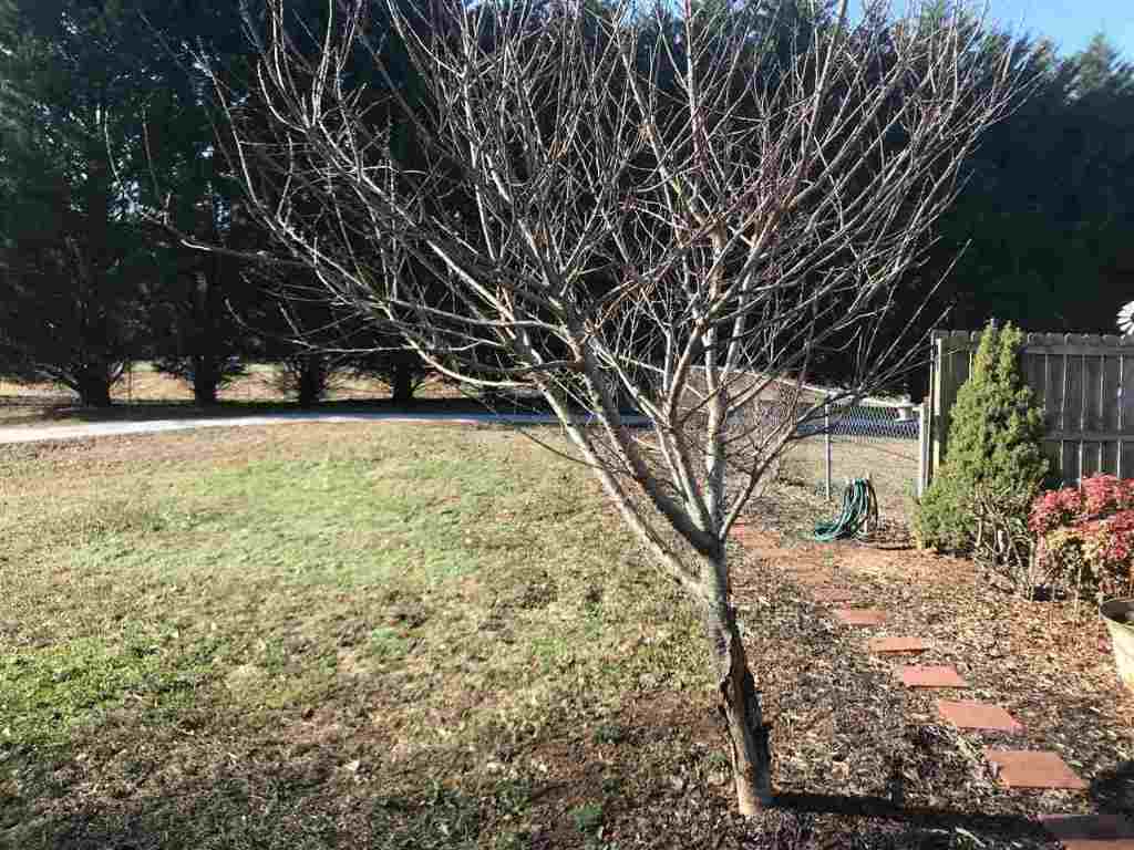 418 Burns Mill Road West Union, SC 29696 - Photo 30 of 36 Gallery Image 30