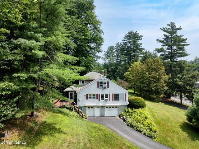 a large tree in the middle of a garden