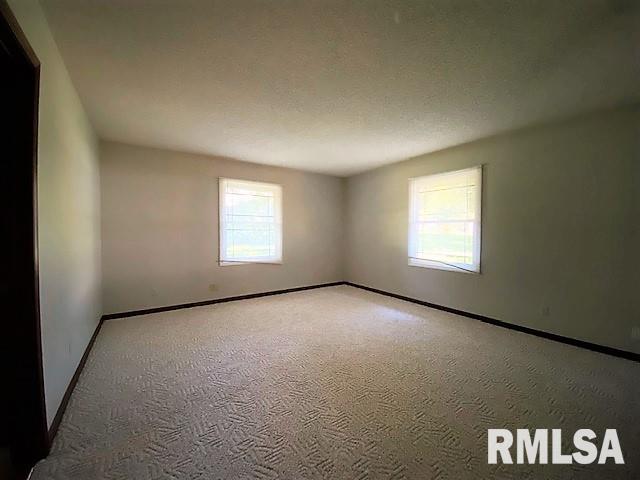 42 Axline Road Chatham, IL 62629 - Photo 38 of 49 Gallery Image 38