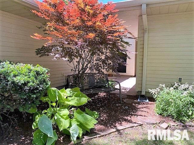 42 Axline Road Chatham, IL 62629 - Photo 8 of 49 Gallery Image 8