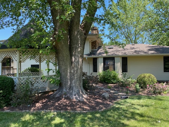 42 Axline Road Chatham, IL 62629 - Photo 10 of 49 Gallery Image 10