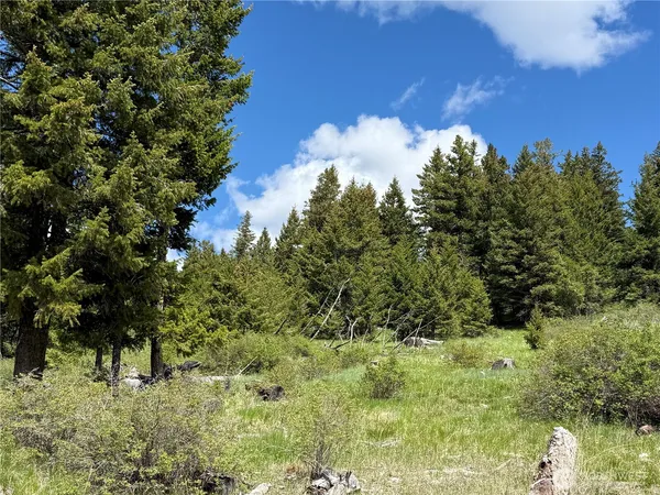 $248,000 | 0 Toroda Creek Road, Wauconda, WA 98859