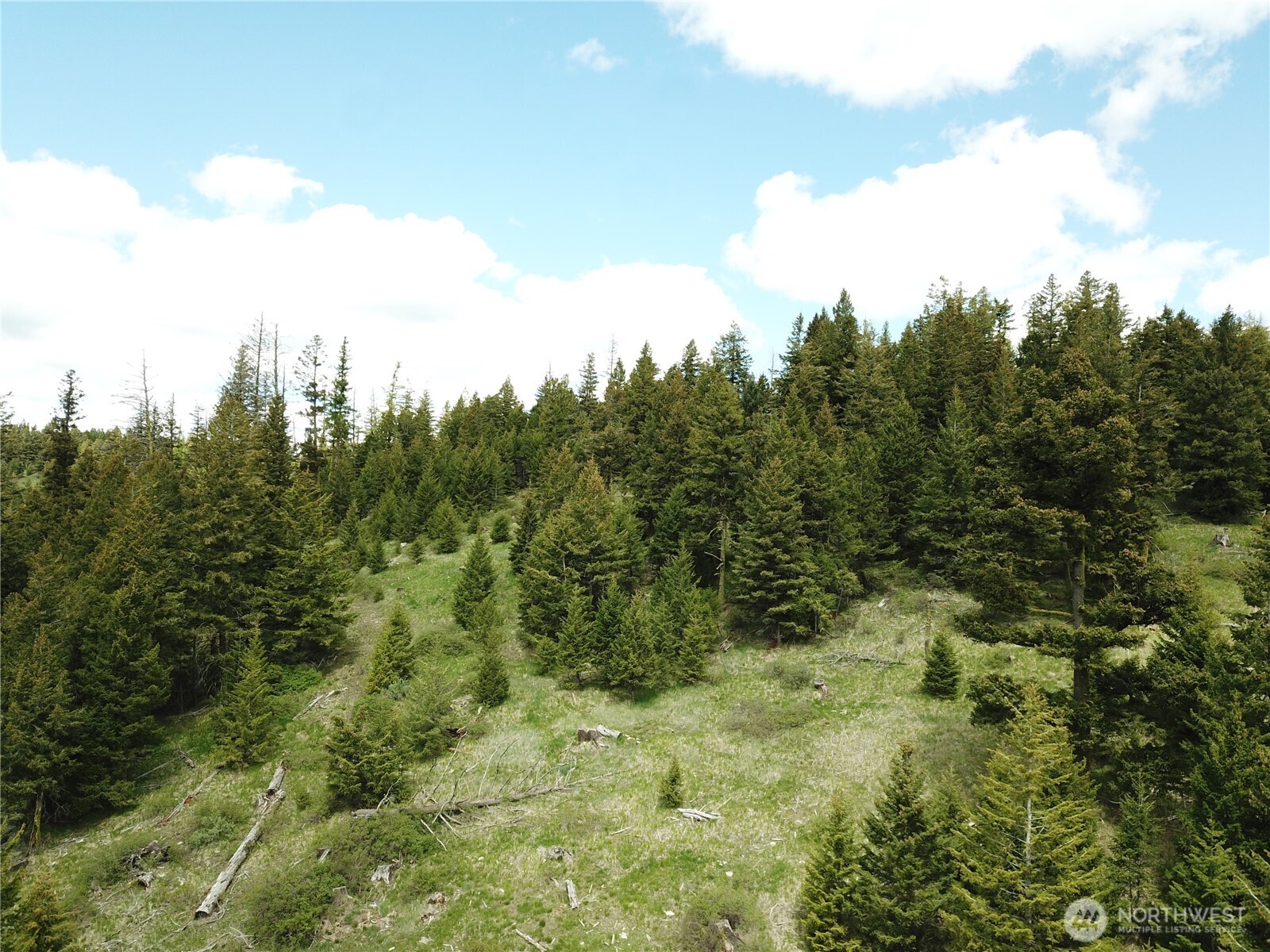 0 Toroda Creek Road Wauconda, WA 98859 - Photo 12 of 19