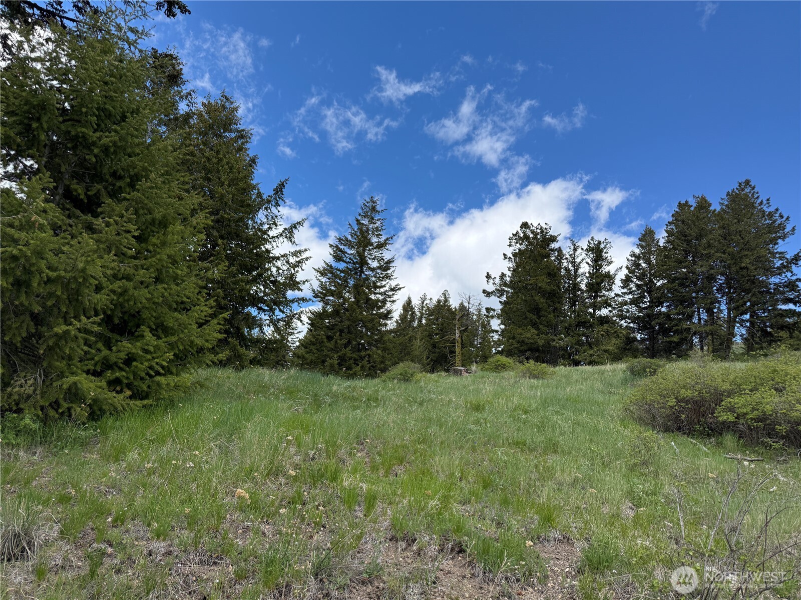 0 Toroda Creek Road Wauconda, WA 98859 - Photo 2 of 19