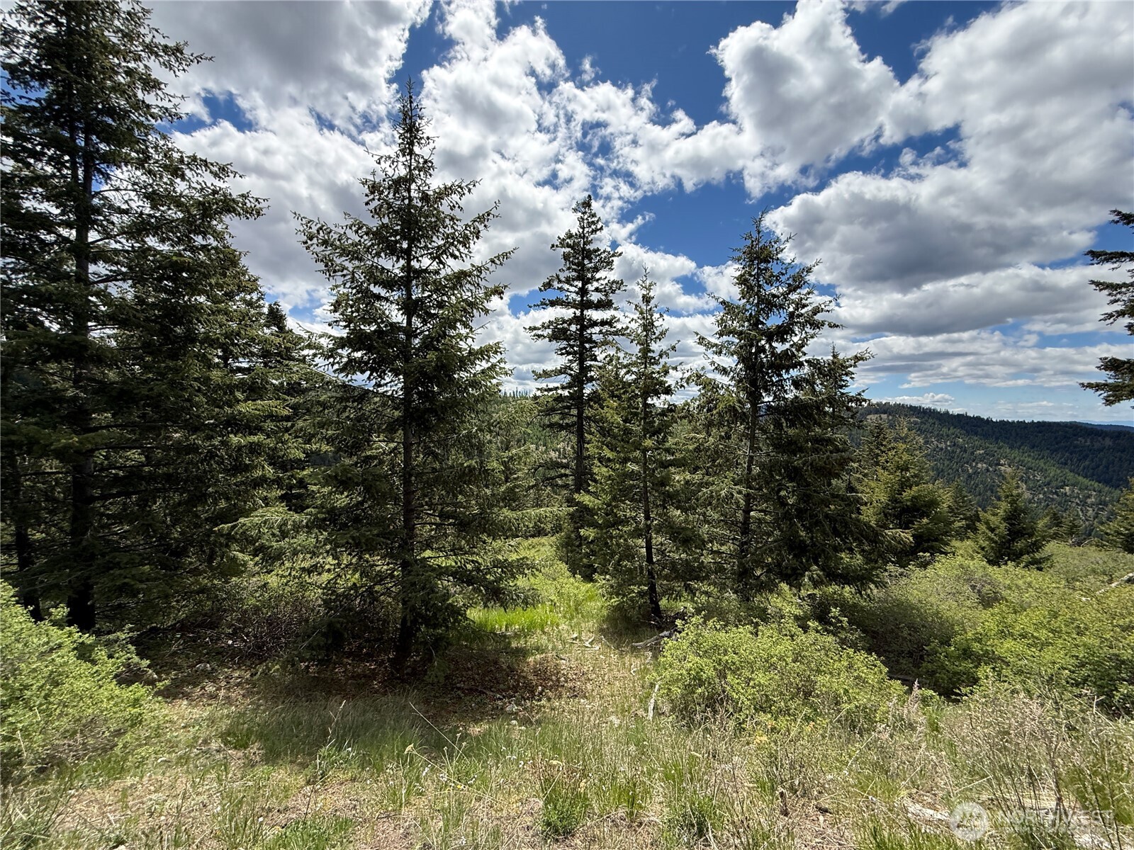 0 Toroda Creek Road Wauconda, WA 98859 - Photo 5 of 19
