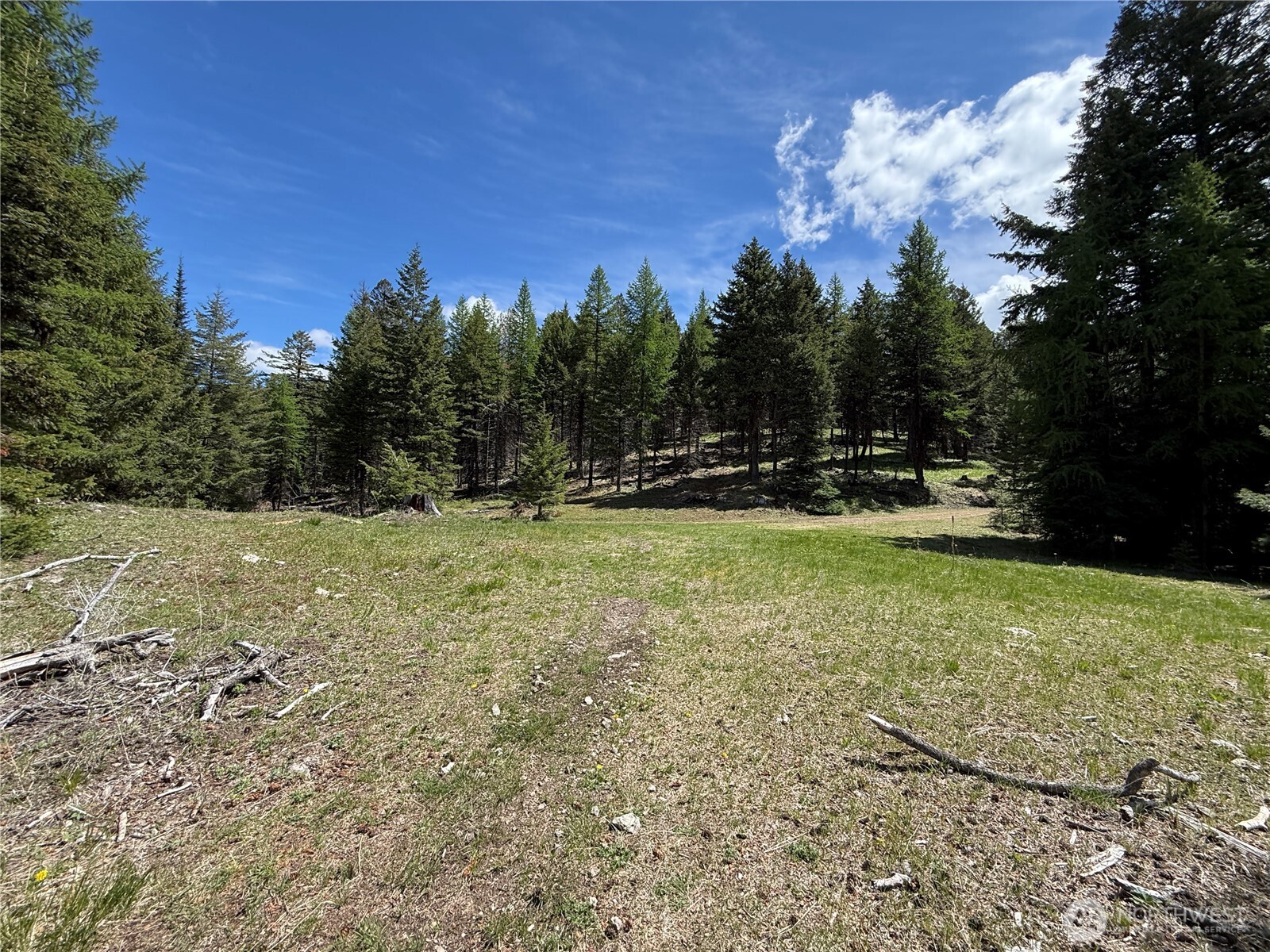 0 Toroda Creek Road Wauconda, WA 98859 - Photo 8 of 19